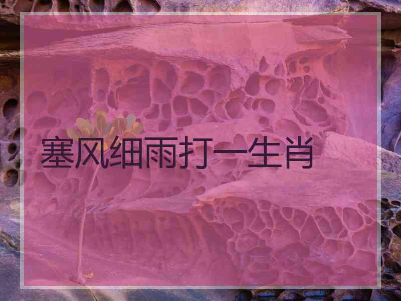 塞风细雨打一生肖