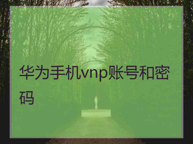 华为手机vnp账号和密码