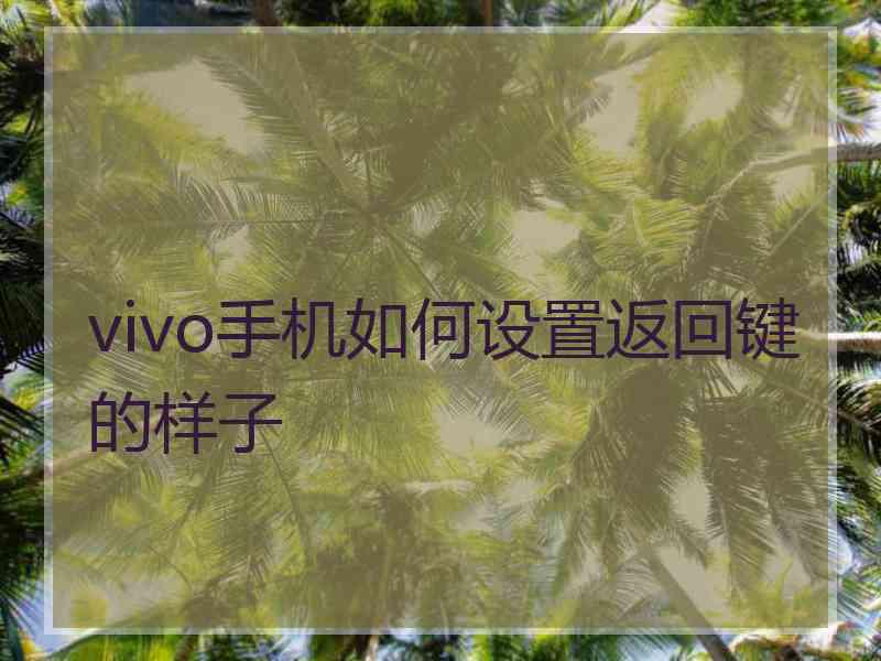 vivo手机如何设置返回键的样子