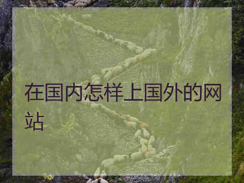 在国内怎样上国外的网站