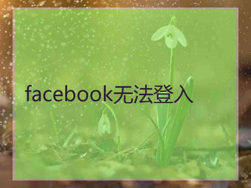 facebook无法登入