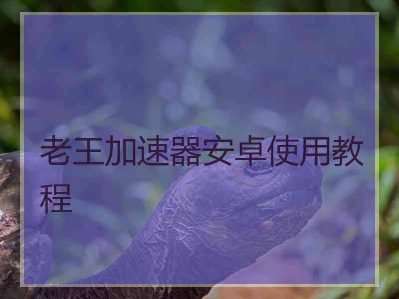 老王加速器安卓使用教程