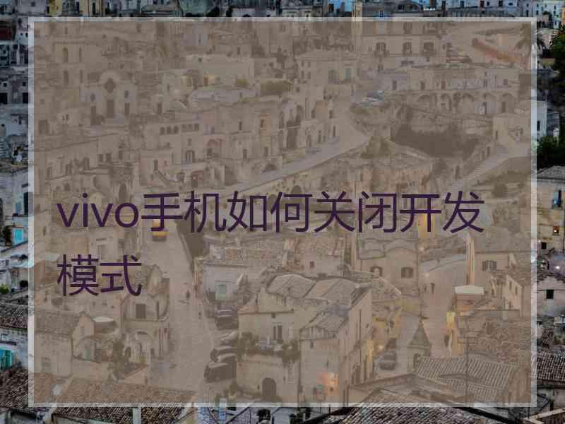 vivo手机如何关闭开发模式