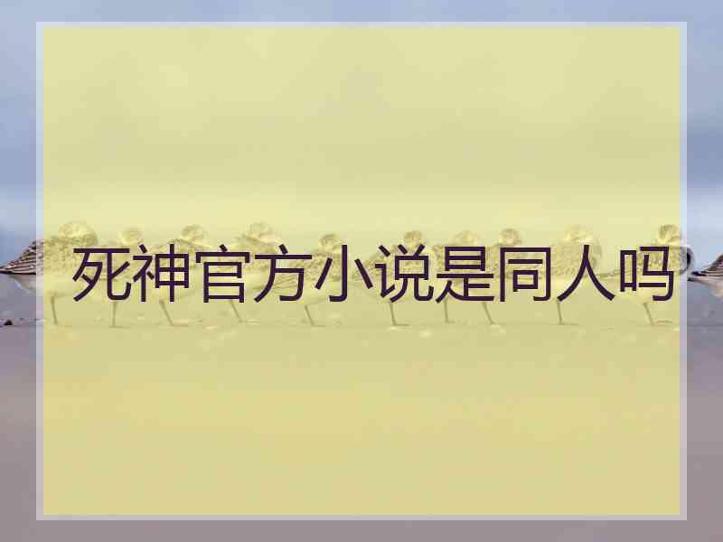 死神官方小说是同人吗