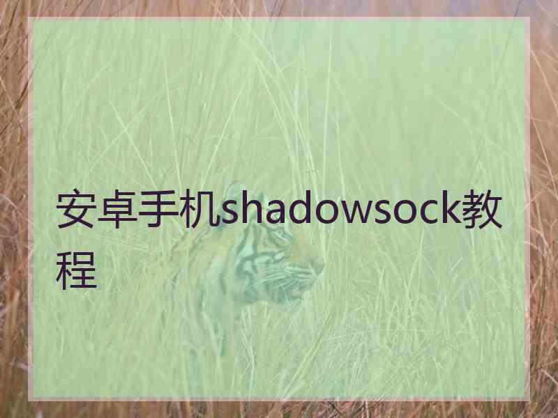 安卓手机shadowsock教程