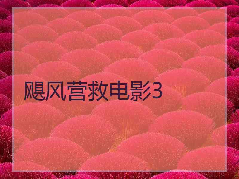 飓风营救电影3