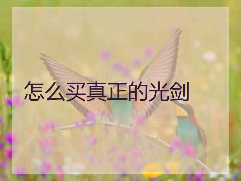 怎么买真正的光剑