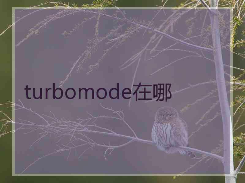 turbomode在哪