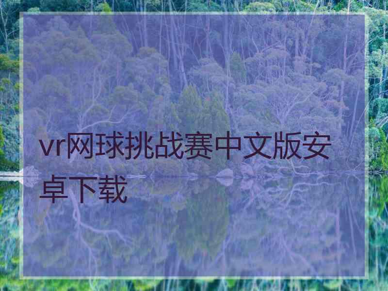 vr网球挑战赛中文版安卓下载