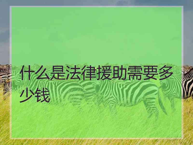 什么是法律援助需要多少钱