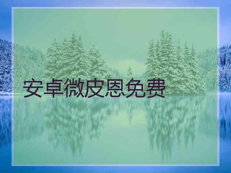 安卓微皮恩免费