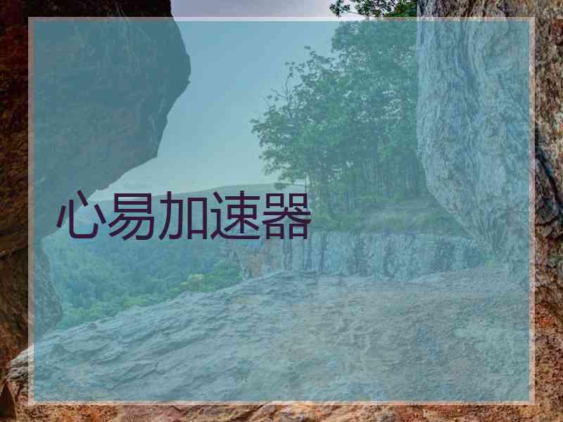 心易加速器