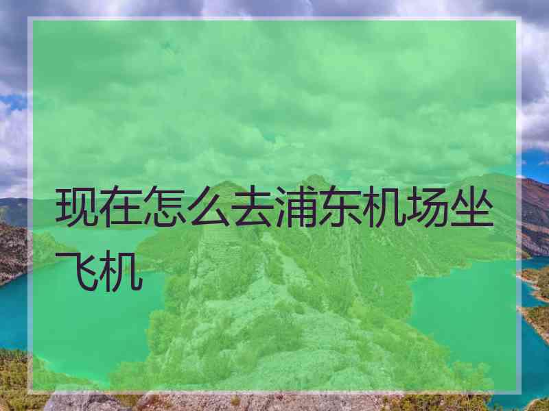 现在怎么去浦东机场坐飞机