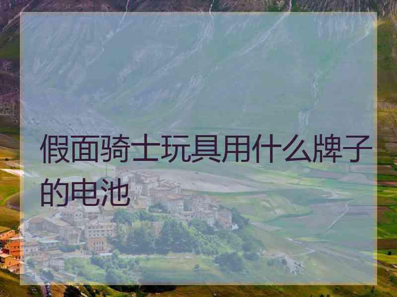 假面骑士玩具用什么牌子的电池