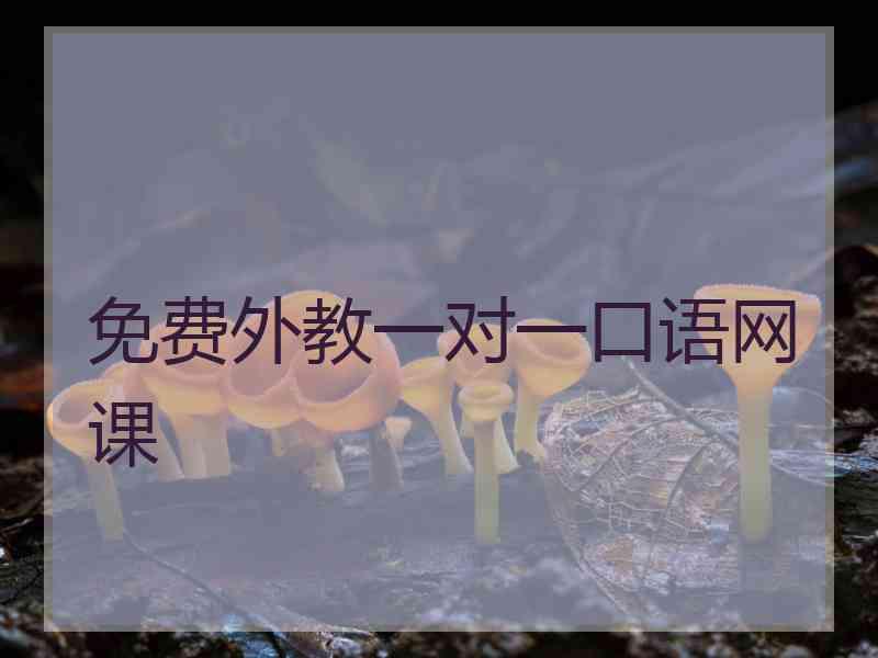 免费外教一对一口语网课