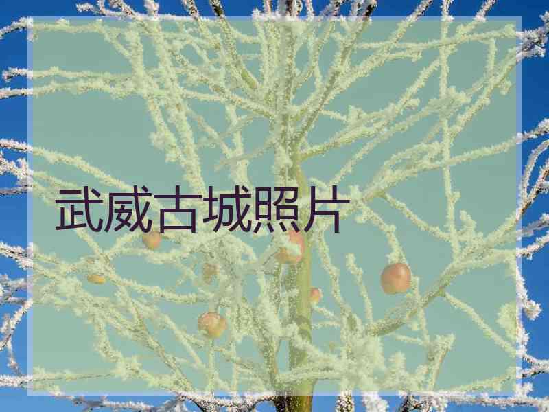 武威古城照片