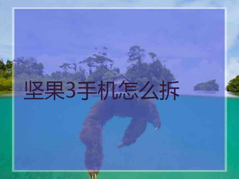 坚果3手机怎么拆