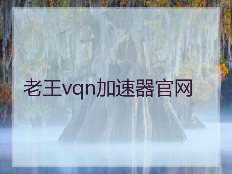 老王vqn加速器官网
