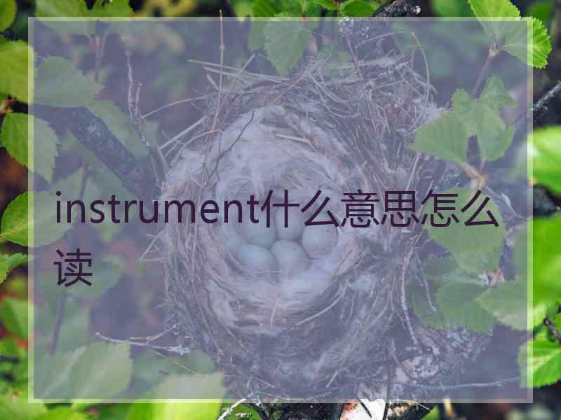 instrument什么意思怎么读