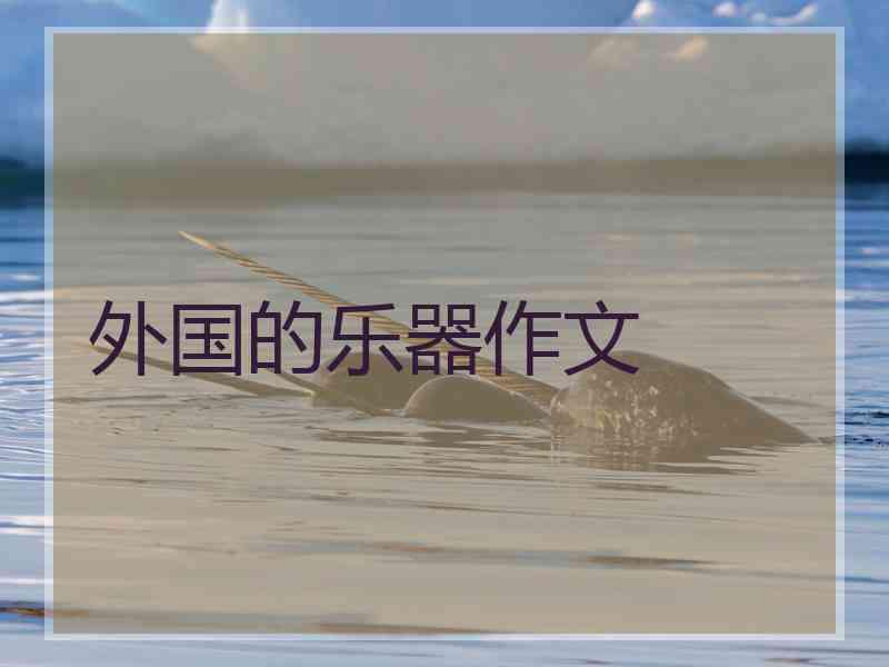 外国的乐器作文