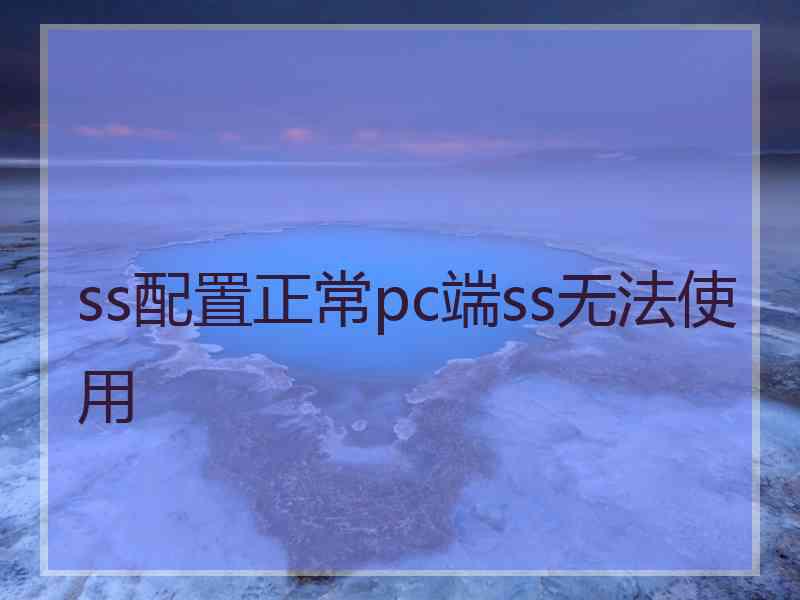 ss配置正常pc端ss无法使用