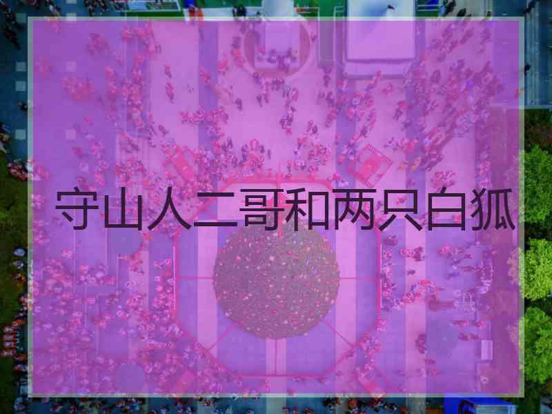 守山人二哥和两只白狐