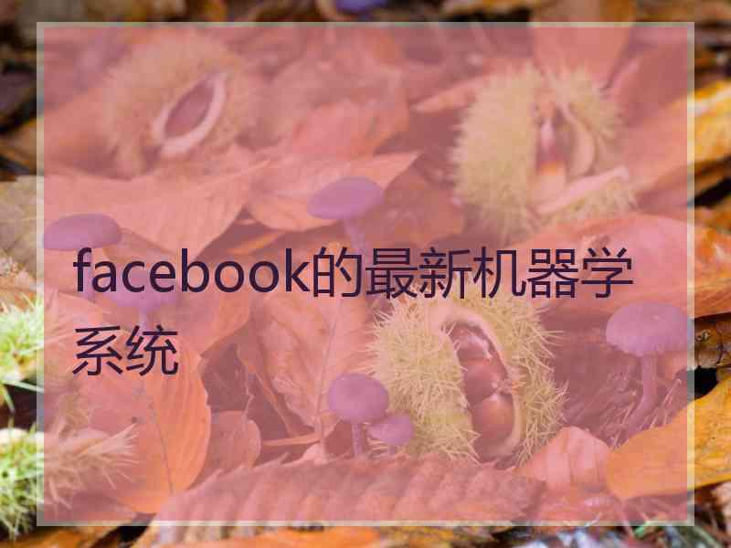 facebook的最新机器学系统
