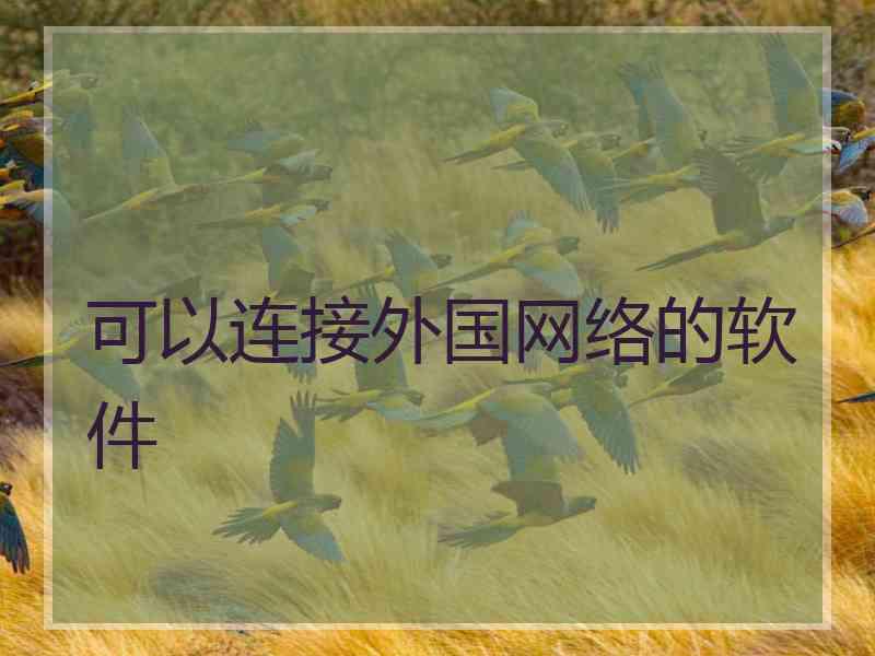 可以连接外国网络的软件