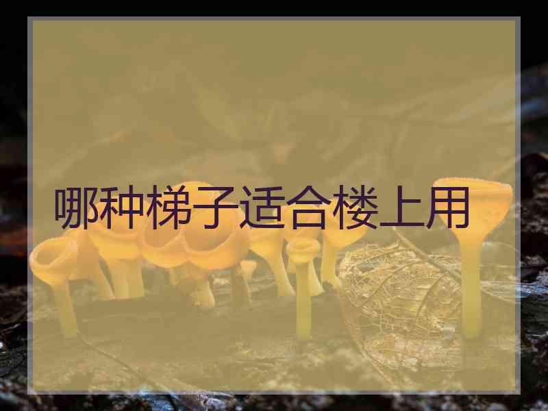 哪种梯子适合楼上用