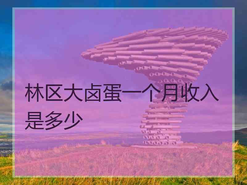 林区大卤蛋一个月收入是多少