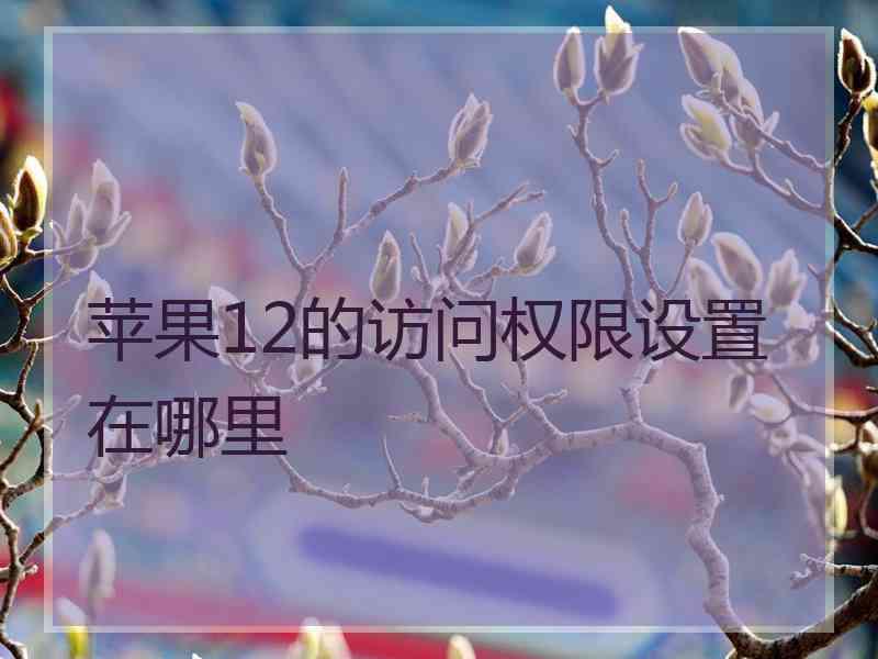 苹果12的访问权限设置在哪里