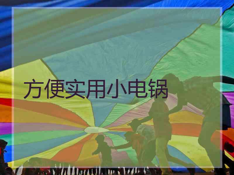 方便实用小电锅