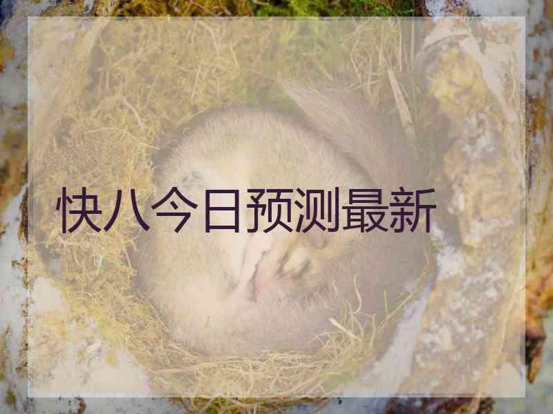 快八今日预测最新