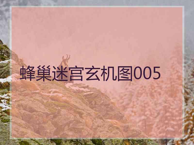 蜂巢迷宫玄机图005