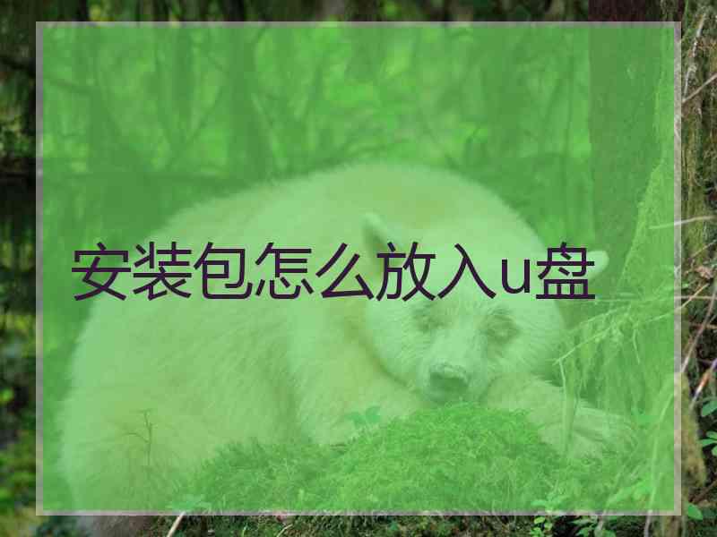 安装包怎么放入u盘