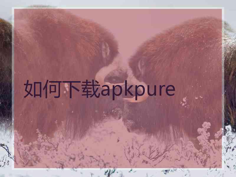 如何下载apkpure