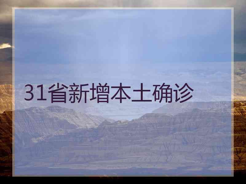31省新增本土确诊