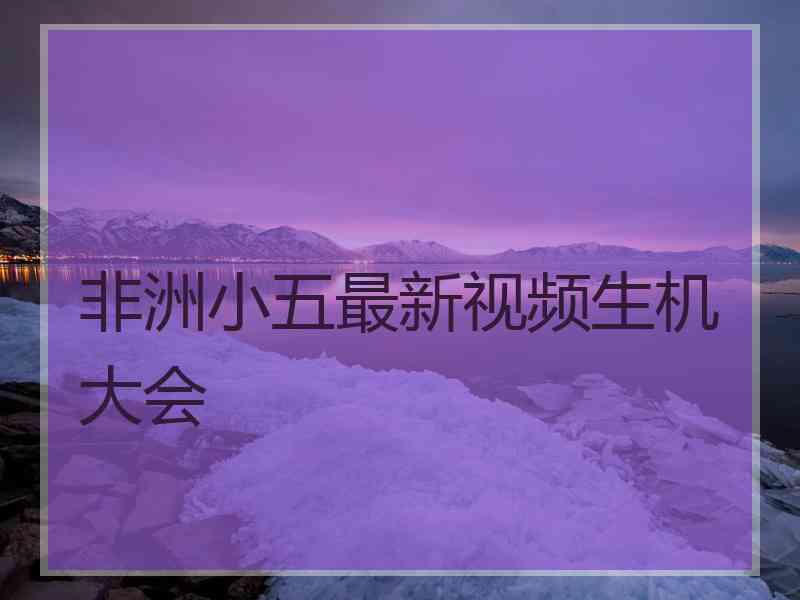 非洲小五最新视频生机大会