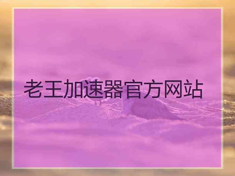 老王加速器官方网站