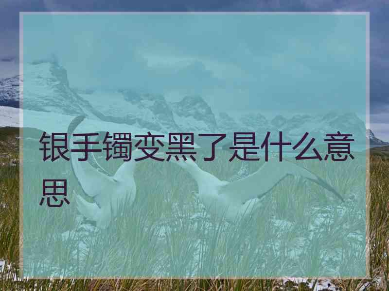 银手镯变黑了是什么意思