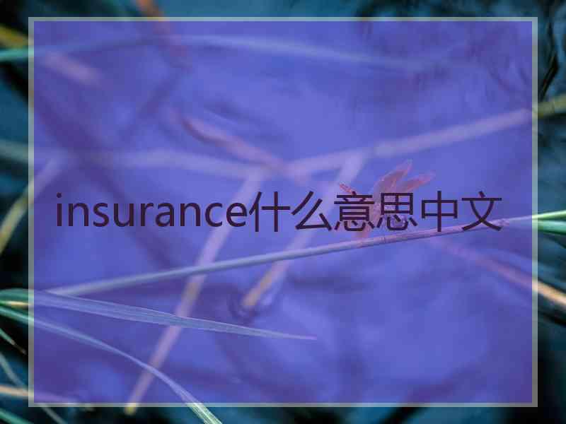 insurance什么意思中文