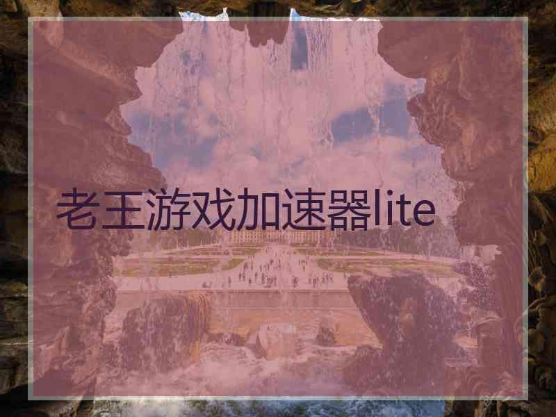 老王游戏加速器lite