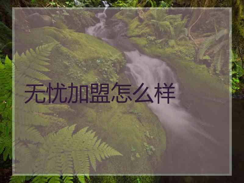 无忧加盟怎么样