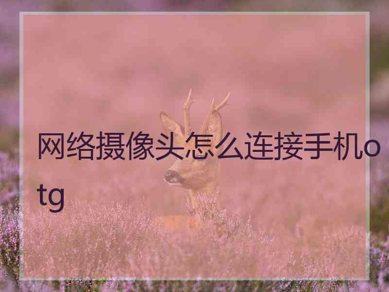 网络摄像头怎么连接手机otg