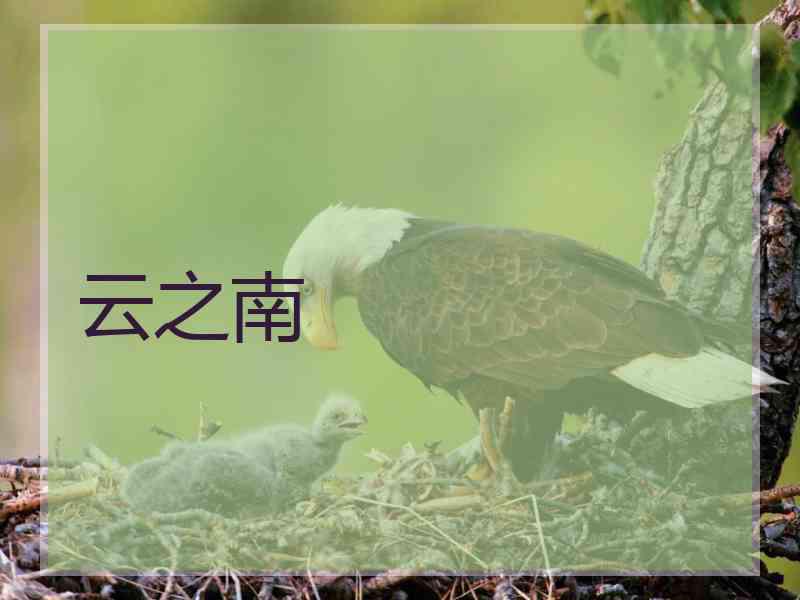 云之南