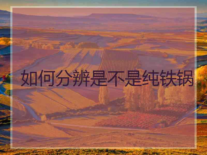 如何分辨是不是纯铁锅