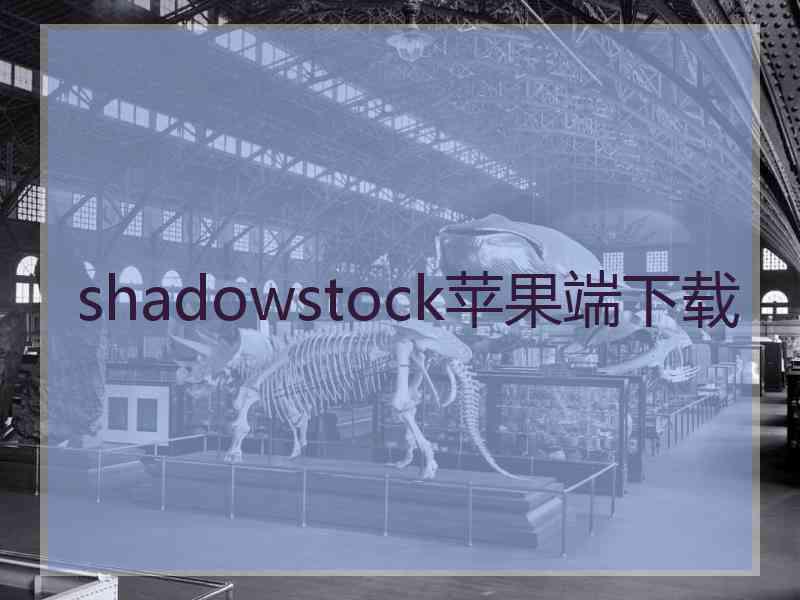 shadowstock苹果端下载
