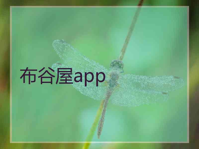 布谷屋app