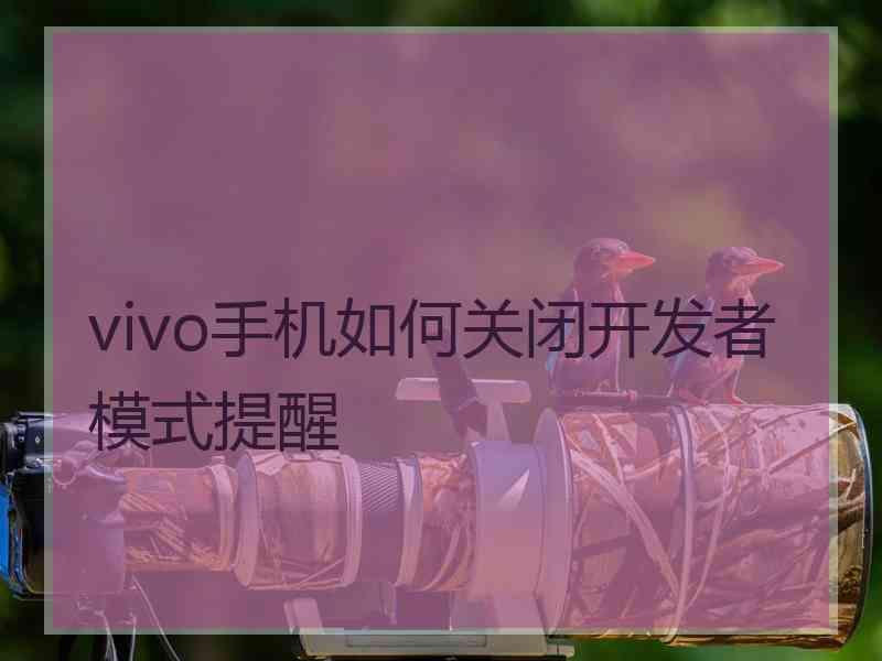 vivo手机如何关闭开发者模式提醒