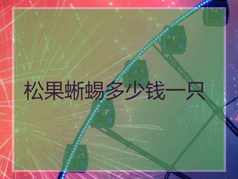 松果蜥蜴多少钱一只